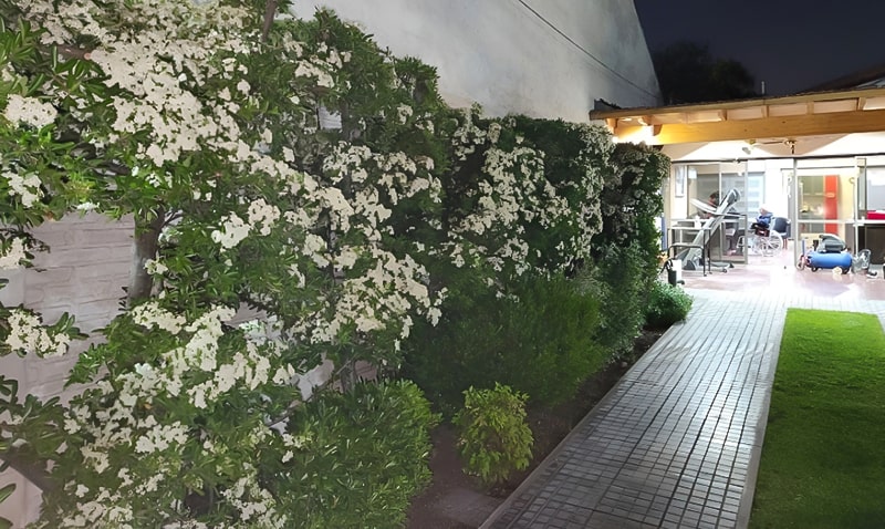 Residencia Casa de Campo - Galería 4